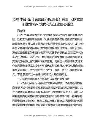 心得体会：在《民营经济促进法》背景下，以党建引领营商环境优化与企业信心重塑