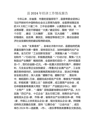 县2024年经济工作情况报告