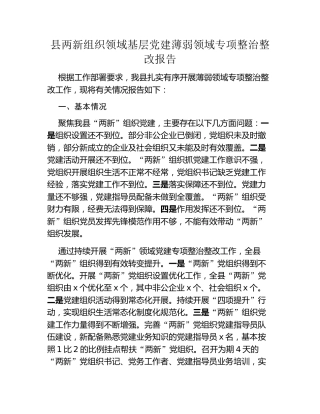 县两新组织领域基层党建薄弱领域专项整治整改报告