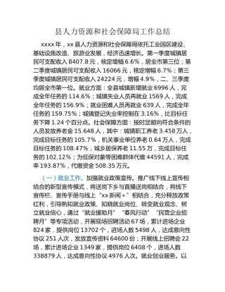 县人力资源和社会保障局工作总结