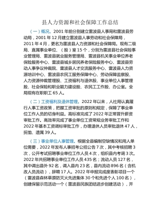 县人力资源和社会保障工作总结