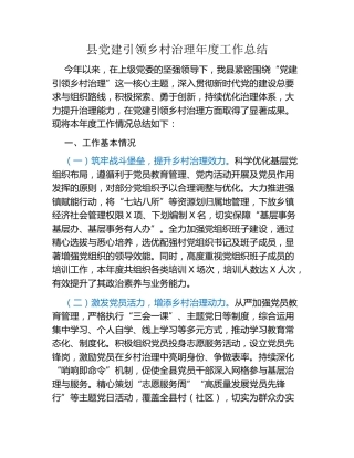 县党建引领乡村治理年度工作总结