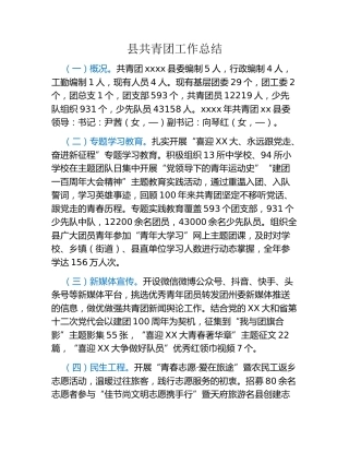 县共青团工作总结