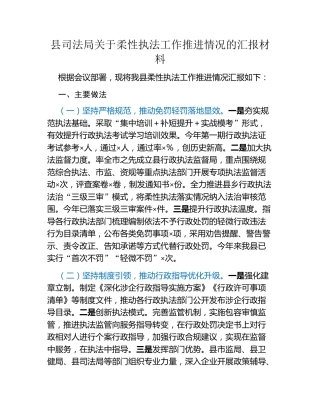 县司法局关于柔性执法工作推进情况的汇报材料