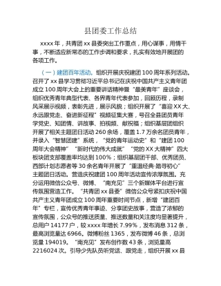 县团委工作总结