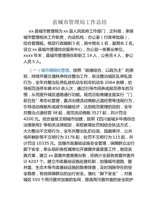 县城市管理局工作总结
