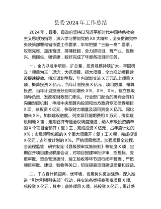 县委2024年工作总结