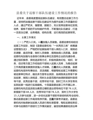 县委关于巡察干部队伍建设工作情况的报告