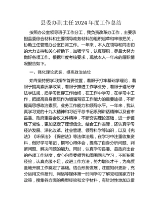 县委办副主任2024年度工作总结