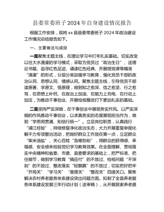 县委常委班子2024年自身建设情况报告