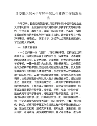 县委组织部关于年轻干部队伍建设工作情况报告