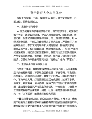 警示教育大会心得体会（8）