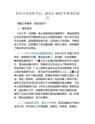 县审计局党组书记、副局长2023年度述法报告