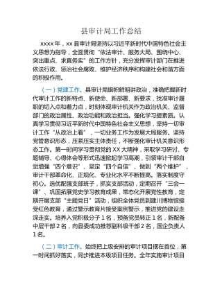 县审计局工作总结