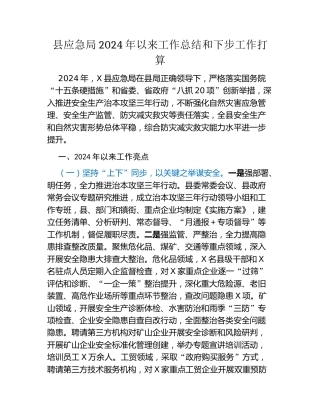 县应急局2024年以来工作总结和下步工作打算