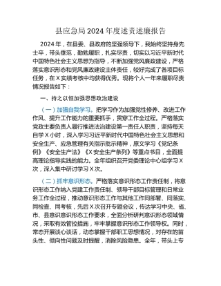 县应急局2024年度述责述廉报告