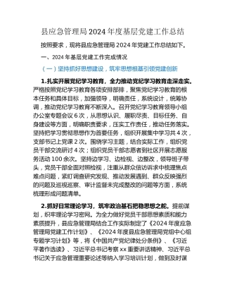 县应急管理局2024年度基层党建工作总结