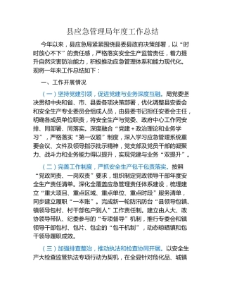 县应急管理局年度工作总结
