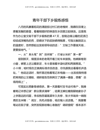 青年干部下乡锻炼感悟