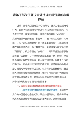 青年干部关于坚决查处违规吃喝歪风的心得体会
