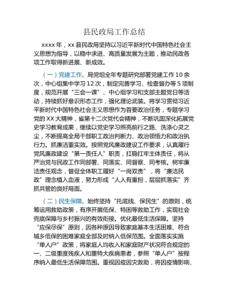 县民政局工作总结