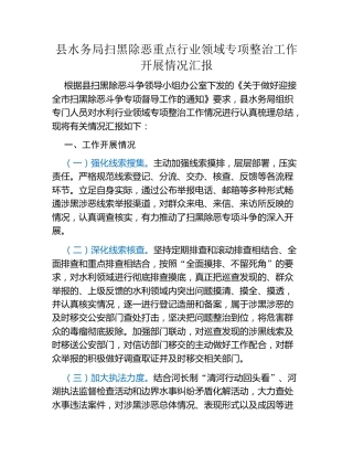县水务局扫黑除恶重点行业领域专项整治工作开展情况汇报