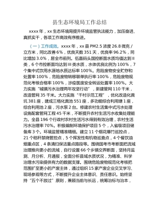县生态环境局工作总结