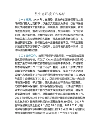县生态环境工作总结