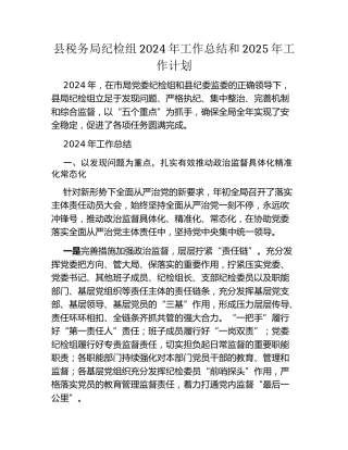 县税务局纪检组2024年工作总结和2025年工作计划