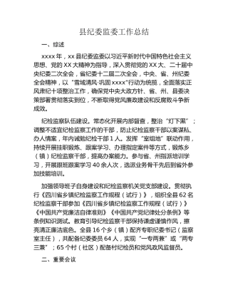 县纪委监委工作总结