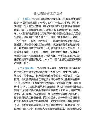 县纪委监委工作总结 (2)