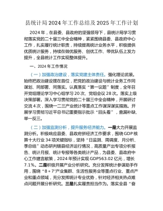 县统计局2024年工作总结及2025年工作计划