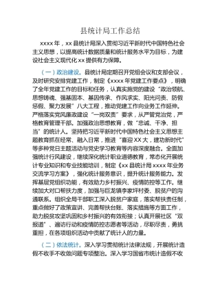 县统计局工作总结