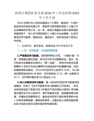县统计调查队党支部2024年工作总结和2025年工作计划