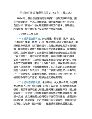 县自然资源和规划局2024年工作总结