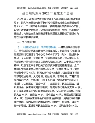 县自然资源局2024年党建工作总结