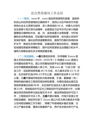 县自然资源局工作总结