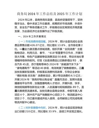 商务局2024年工作总结及2025年工作计划
