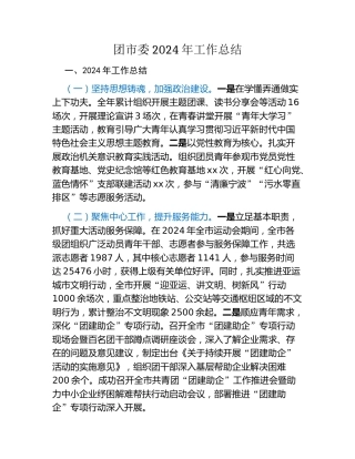 团市委2024年工作总结