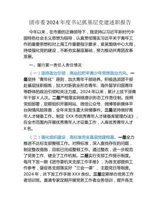 团市委2024年度书记抓基层党建述职报告