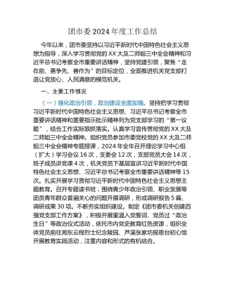 团市委2024年度工作总结