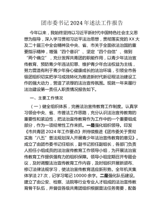 团市委书记2024年述法工作报告