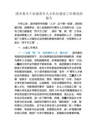 团市委关于加强青年人才队伍建设工作情况的报告