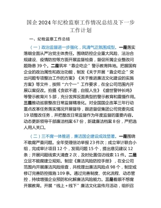 国企2024年纪检监察工作情况总结及下一步工作计划