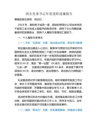 国企党委书记年度述职述廉报告