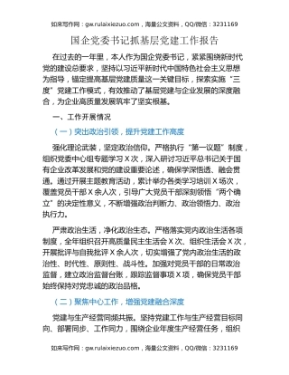 国企党委书记抓基层党建工作报告