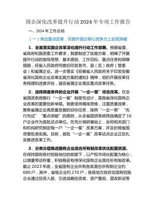 国企深化改革提升行动2024年专项工作报告