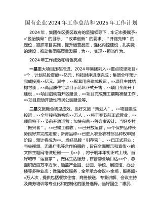 国有企业 2024 年工作总结和 2025 年工作计划