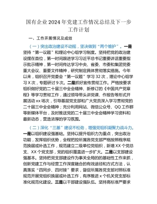 国有企业2024年党建工作情况总结及下一步工作计划 (2)