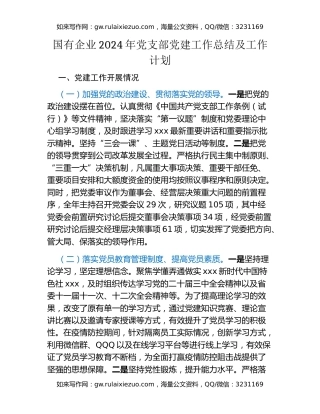 国有企业2024年党支部党建工作总结及工作计划